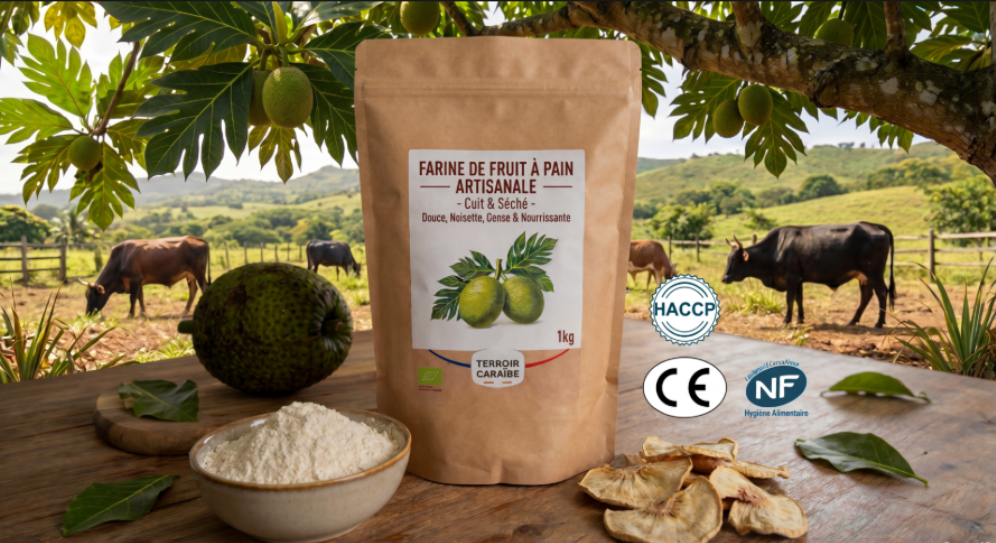 Farine de fruit à pain artisanale — AULINAGAN, Marie-Galante